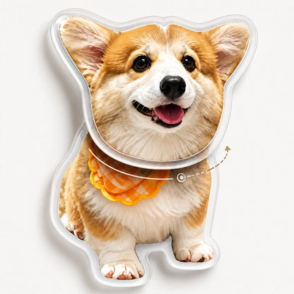 Custom Pet Fridge Magnet (Rotating Head)