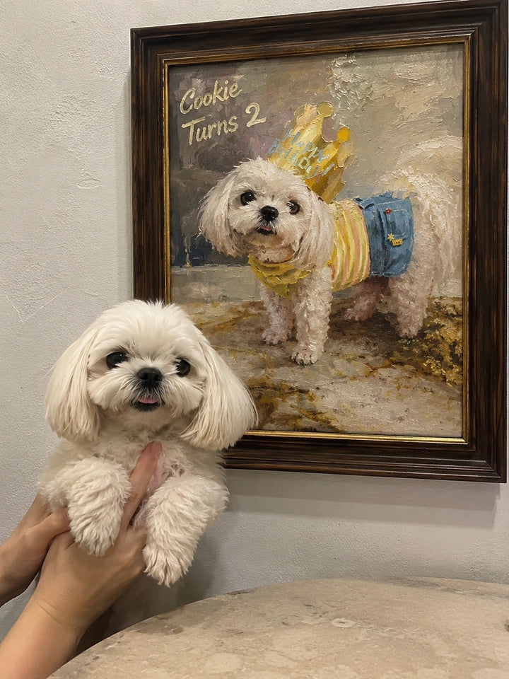 Cookie, Maltese